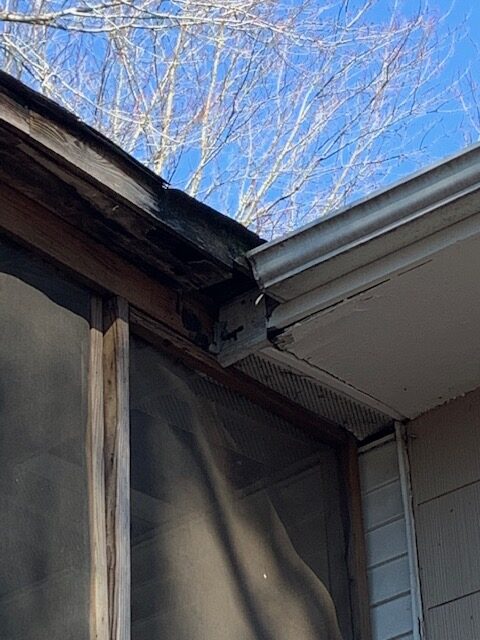 roofline entry for birds maryland